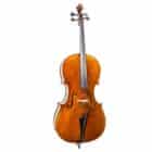 Cello F Muller Master Antiqued