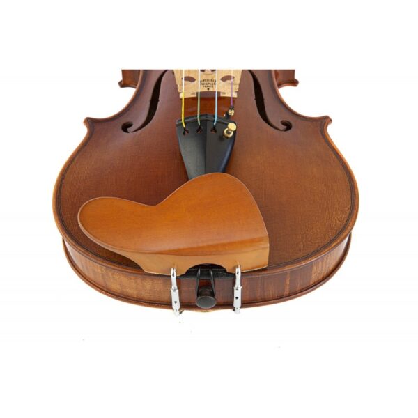 Barbada violin Berber central boj 44 34 1