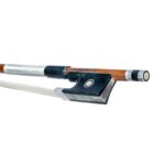 Arco violin Nicolas Delaune asterisco 44 2