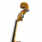 Viola Antonio Wang Taormina antiqued 165 4